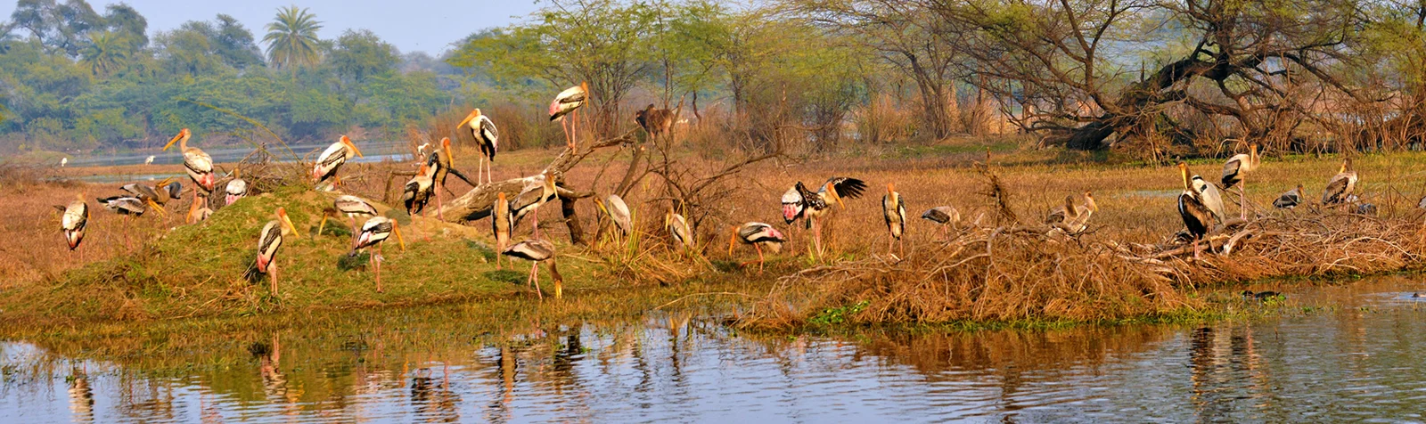Bharatpur